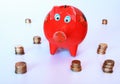 Piggy bank savings