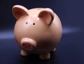 Piggy bank with savings