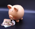 Piggy bank with savings