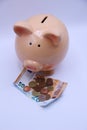 Piggy bank with savings