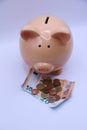 Piggy bank with savings