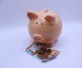 Piggy bank with savings