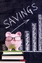 Piggy Bank savings plan investment growth Royalty Free Stock Photo