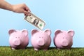 Piggy Bank saving plan dollar bill copy space Royalty Free Stock Photo