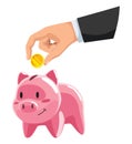Piggy bank savings and hand with coin. Moneybox in form of pig and coins falling. Crowd funding and savings concept Royalty Free Stock Photo