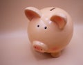 Piggy bank with savings