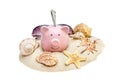 Piggy bank with seashells, sunglasses and money on pile of sand. Isolated on white. Royalty Free Stock Photo