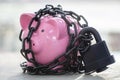 Piggy bank secured with padlock chained up and locked Royalty Free Stock Photo