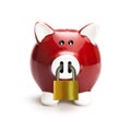 Piggy bank secured with padlock Royalty Free Stock Photo