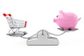 Piggy Bank and Shopping Cart Balancing on a Simple Weighting Sc