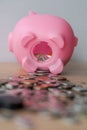 Piggy bank sitting on top of a pile a of coins