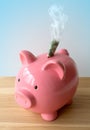 A piggy bank with smoking money