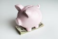 Piggy bank on a stack of 100 dollar bills Royalty Free Stock Photo