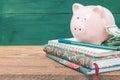 Piggy bank on a stack of book concept of education