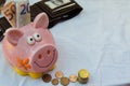 Piggy bank and stack of coins , euro monete