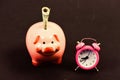 Piggy bank stuffed dollar cash and alarm clock. Financial crisis. Banking account. Bankruptcy and debt. Pay for debt Royalty Free Stock Photo