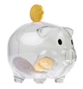 Piggy bank style glass moneybox