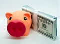 Piggy bank on top of a wad of hundred dollar bills in a white background Royalty Free Stock Photo