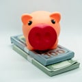 Piggy bank on top of a wad of hundred dollar bills in a white background Royalty Free Stock Photo