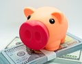 Piggy bank on top of a wad of hundred dollar bills in a white background Royalty Free Stock Photo