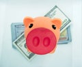 Piggy bank on top of a wad of hundred dollar bills in a white background Royalty Free Stock Photo