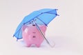 Piggy bank under blue umbrella - Concept of money protection and financial security Royalty Free Stock Photo