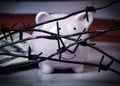 Piggy bank and US Dollar money wrapped in barbed wire against United States national flag as symbol of economic warfare, sanctions