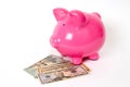 Piggy bank with USD notes Royalty Free Stock Photo