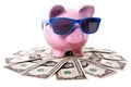 Piggy Bank vacation travel money savings, dollar bills