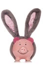 Piggy bank wearing easter rabbit ears Royalty Free Stock Photo