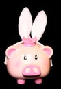 Piggy bank wearing rabbit ears Royalty Free Stock Photo