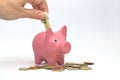 A hand puts a bill in a piggy bank Royalty Free Stock Photo