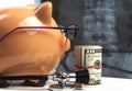 Piggy Bank Xray Exam