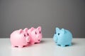 The piggy banks eagerly listen to the storyteller. Royalty Free Stock Photo