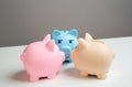 The piggy banks gossip. How to save more money. Royalty Free Stock Photo