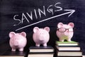 Piggybanks with savings growth plan Royalty Free Stock Photo