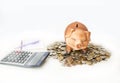 Piggy banks standing on pile of cions and calculator Royalty Free Stock Photo