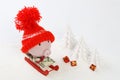 Piggy box with red hat with pompom standing on red sled with blanket from greenback hunderd dollars on snow and around are Royalty Free Stock Photo