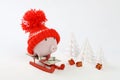 Piggy box with red hat with pompom standing on red sled on snow and around are snowbound trees - toboggan