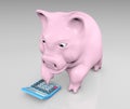 Piggy with a calculator