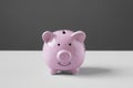 Piggy or coin bank or piggybank or money box