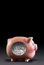 Piggy full of Cash. Royalty Free Stock Photo