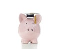 Piggy grad Royalty Free Stock Photo