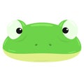 Frog head vector illustration on white background