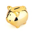 Piggy Money Box