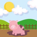 Piggy in the mud wooden fence sky farm animals Royalty Free Stock Photo