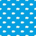 Piggy pattern seamless blue