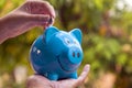 Piggy save money concept, piggy bank on nature background