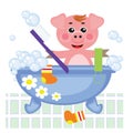 Piggy showering in bath Royalty Free Stock Photo