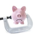 Piggy squeeze Royalty Free Stock Photo